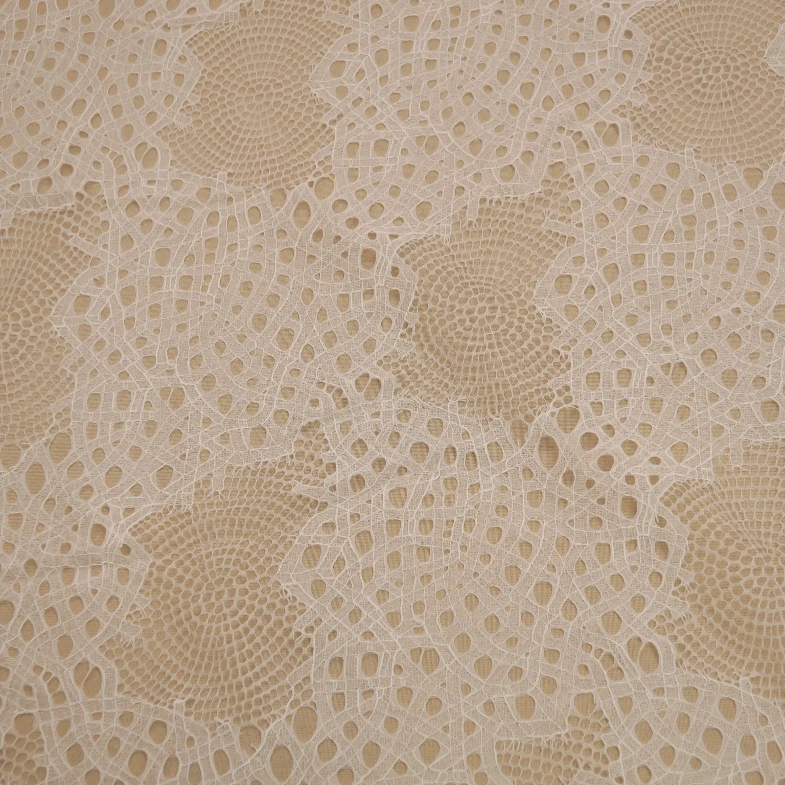 Off White Embroidered Tulle Floral Double Scalloped Lace